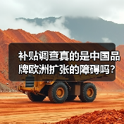 补贴调查真的是中国品牌欧洲扩张的障碍吗?(图3) 补贴调查真的是中国品牌欧洲扩张的障碍吗?(图3)