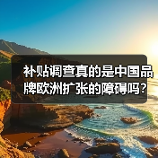 补贴调查真的是中国品牌欧洲扩张的障碍吗?(图4) 补贴调查真的是中国品牌欧洲扩张的障碍吗?(图4)