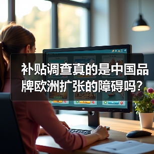 补贴调查真的是中国品牌欧洲扩张的障碍吗?(图2) 补贴调查真的是中国品牌欧洲扩张的障碍吗?(图2)
