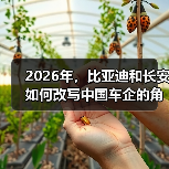 2026年,比亚迪和长安如何改写中国车企的角色(图1) 2026年,比亚迪和长安如何改写中国车企的角色(图1)