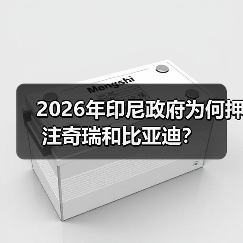 2026年印尼政府为何押注奇瑞和比亚迪？（图4）