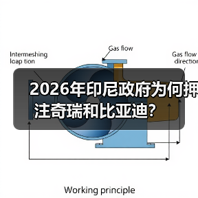 2026年印尼政府为何押注奇瑞和比亚迪？（图3）