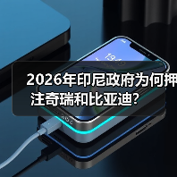 2026年印尼政府为何押注奇瑞和比亚迪？（图2）