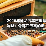 2026年神龙汽车管理层调整：外部血液真的能救新产品规划吗？（图3）