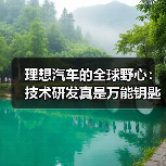 理想汽车的全球野心：技术研发真是万能钥匙吗？（图3）