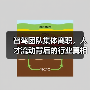 智驾团队集体离职,人才流动背后的行业真相?(图3) 智驾团队集体离职,人才流动背后的行业真相?(图3)