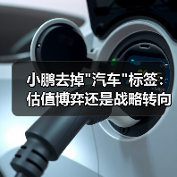 小鹏去掉 小鹏去掉