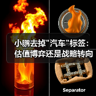小鹏去掉 小鹏去掉