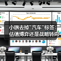 小鹏去掉 小鹏去掉