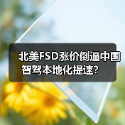北美FSD涨价倒逼中国智驾本地化提速?(图2) 北美FSD涨价倒逼中国智驾本地化提速?(图2)
