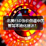 北美FSD涨价倒逼中国智驾本地化提速?(图1) 北美FSD涨价倒逼中国智驾本地化提速?(图1)
