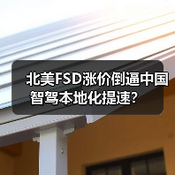 北美FSD涨价倒逼中国智驾本地化提速?(图3) 北美FSD涨价倒逼中国智驾本地化提速?(图3)