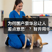 为何国产豪华总让人‘差点意思’?智界用华为技术重新定义(图4) 为何国产豪华总让人‘差点意思’?智界用华为技术重新定义(图4)