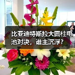 比亚迪特斯拉大圆柱电池对决，谁主沉浮？（图4）