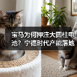 宝马为何押注大圆柱电池?宁德时代产能落地背后的真相(图1) 宝马为何押注大圆柱电池?宁德时代产能落地背后的真相(图1)