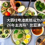 大圆柱电池真能成为2026年主流吗?比亚迪与特斯拉的较量暗藏玄机(图3) 大圆柱电池真能成为2026年主流吗?比亚迪与特斯拉的较量暗藏玄机(图3)