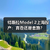 特斯拉Model 2上海投产：真香还是套路？（图4）