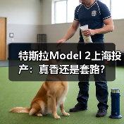 特斯拉Model 2上海投产：真香还是套路？（图3）