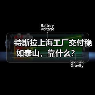 特斯拉上海工厂交付稳如泰山,靠什么?(图2) 特斯拉上海工厂交付稳如泰山,靠什么?(图2)