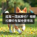 提车一周就降价?特斯拉廉价车型冲击市场(图4) 提车一周就降价?特斯拉廉价车型冲击市场(图4)