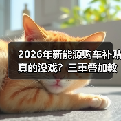 2026年新能源购车补贴真的没戏?三重叠加教你省下两三万!(图4) 2026年新能源购车补贴真的没戏?三重叠加教你省下两三万!(图4)