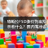 特斯拉FSD涨价到底预示着什么？国内落地会加速吗？（图1）