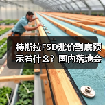 特斯拉FSD涨价到底预示着什么？国内落地会加速吗？（图2）