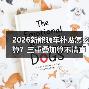 2026新能源车补贴怎么算？三重叠加算不清直接亏大了（图1）