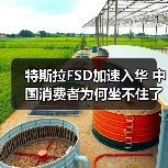 特斯拉FSD加速入华 中国消费者为何坐不住了（图1）