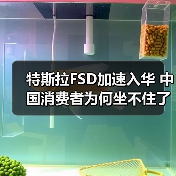 特斯拉FSD加速入华 中国消费者为何坐不住了（图2）