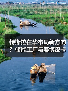 特斯拉在华布局新方向？储能工厂与赛博皮卡如何改写未来？（图4）