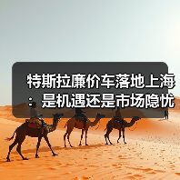 特斯拉廉价车落地上海：是机遇还是市场隐忧？（图2）