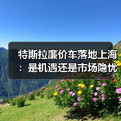 特斯拉廉价车落地上海：是机遇还是市场隐忧？（图1）