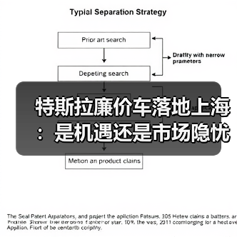 特斯拉廉价车落地上海：是机遇还是市场隐忧？（图4）