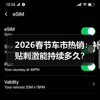 2026春节车市热销：补贴刺激能持续多久？（图1）