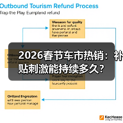 2026春节车市热销：补贴刺激能持续多久？（图3）