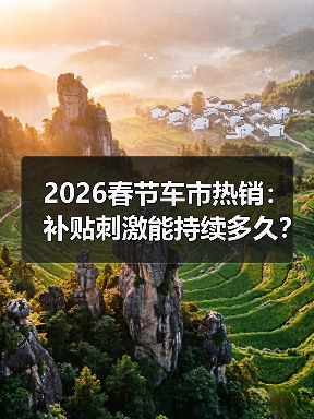 2026春节车市热销：补贴刺激能持续多久？（图2）