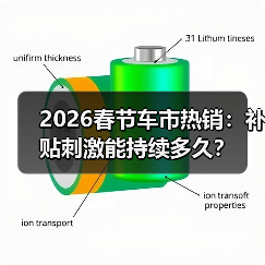 2026春节车市热销：补贴刺激能持续多久？（图4）