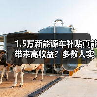 1.5万新能源车补贴真能带来高收益？多数人实际拿到的可能只有七千（图4）
