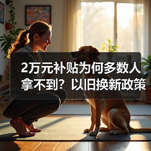 2万元补贴为何多数人拿不到？以旧换新政策落地难题分析（图4）
