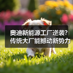奥迪新能源工厂逆袭?传统大厂能撼动新势力吗?(图3) 奥迪新能源工厂逆袭?传统大厂能撼动新势力吗?(图3)