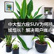 中大型六座SUV为何持续增长?解决用户痛点成新逻辑(图4) 中大型六座SUV为何持续增长?解决用户痛点成新逻辑(图4)