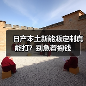 日产本土新能源定制真能打?别急着掏钱(图1) 日产本土新能源定制真能打?别急着掏钱(图1)