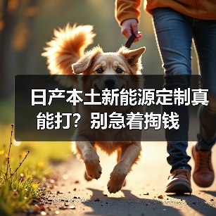 日产本土新能源定制真能打?别急着掏钱(图3) 日产本土新能源定制真能打?别急着掏钱(图3)