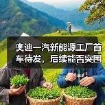 奥迪一汽新能源工厂首车待发,后续能否突围?(图4) 奥迪一汽新能源工厂首车待发,后续能否突围?(图4)