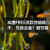 岚图FREE改款月销破八千,凭啥逆袭?细节曝光(图4) 岚图FREE改款月销破八千,凭啥逆袭?细节曝光(图4)