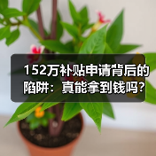 152万补贴申请背后的陷阱:真能拿到钱吗?(图2) 152万补贴申请背后的陷阱:真能拿到钱吗?(图2)