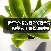 新车价格战近70款降价,现在入手是捡漏时机吗?(图1) 新车价格战近70款降价,现在入手是捡漏时机吗?(图1)