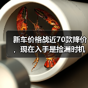 新车价格战近70款降价,现在入手是捡漏时机吗?(图3) 新车价格战近70款降价,现在入手是捡漏时机吗?(图3)