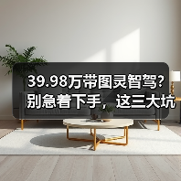 39.98万带图灵智驾?别急着下手,这三大坑千万别踩(图3) 39.98万带图灵智驾?别急着下手,这三大坑千万别踩(图3)